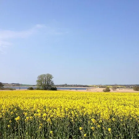 Zeesenhaus-5-im-ferienpark-seedorf-mit-seeblick Apartmán